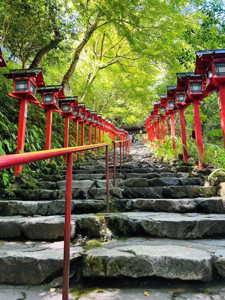 [Held until August 15th] Highlights of the Tanabata illuminations at Kifune Shrine