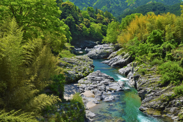 Summer Fun in Matsusaka: Swim, Canoe, and Camp in the Kahada Valley!