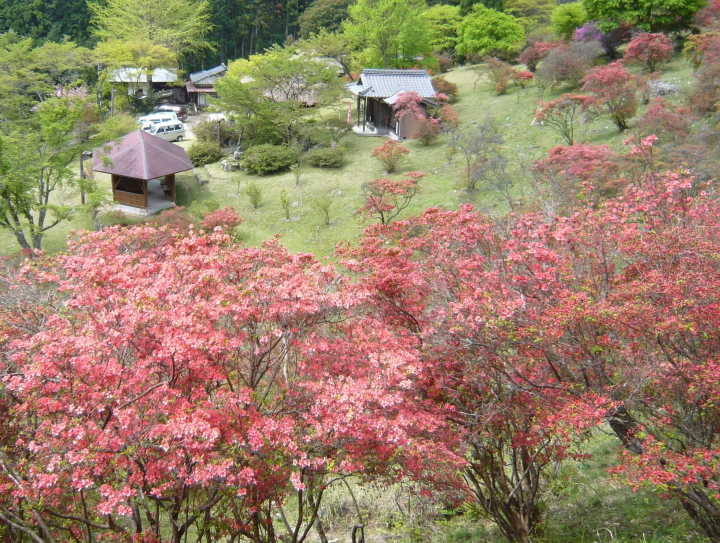 Summer Fun in Matsusaka: Swim, Canoe, and Camp in the Kahada Valley!