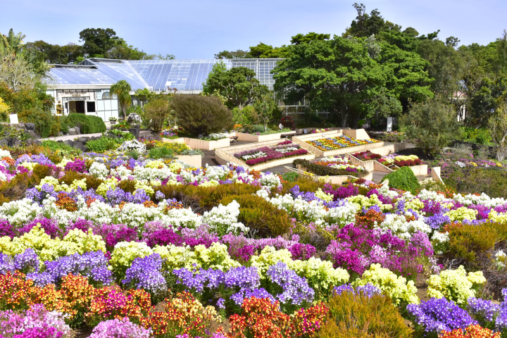 คู่มือครบวงจรสำหรับพิพิธภัณฑ์โคมไฟและสวนดอกไม้นิวยอร์ก ซึ่งตั้งอยู่ใกล้กับชายฝั่งโจงาซากิ และมีทิวทัศน์อันน่าทึ่ง!