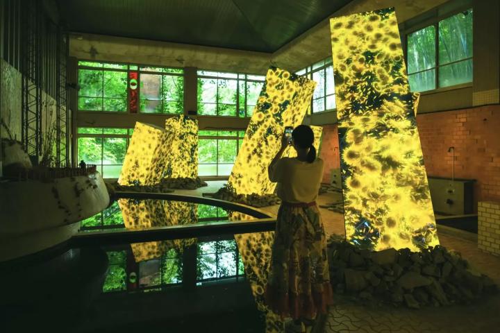 Saga Half Day Bus Tour: Explore TeamLab Exhibits and Light-Up at Yutoku Inari Shrine