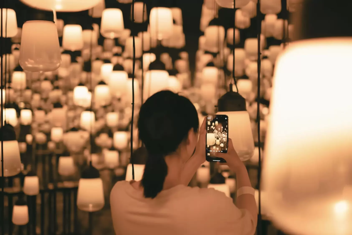 Saga Half Day Bus Tour: Explore TeamLab Exhibits and Light-Up at Yutoku Inari Shrine