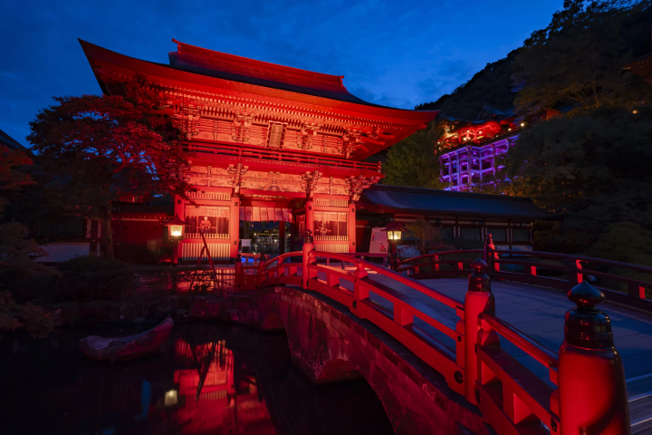 Saga Half Day Bus Tour: Explore TeamLab Exhibits and Light-Up at Yutoku Inari Shrine