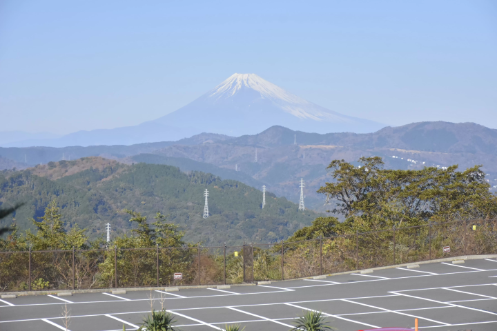 Get up close and personal with animals! A comprehensive guide to Izu Shaboten Zoo
