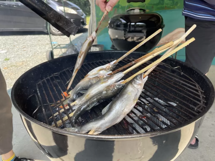 ▲Salted sweetfish brought in 