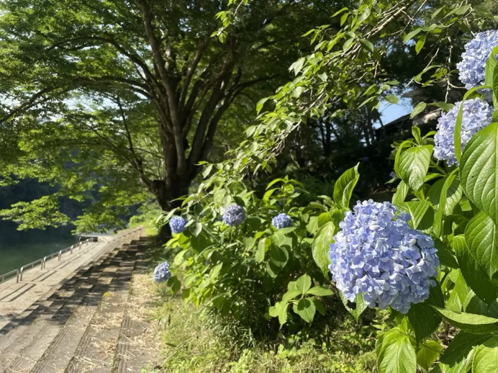 A Summer Weekend Trip to the Everglades Kahada: Barbecuing, Canoeing, Camping, and More!