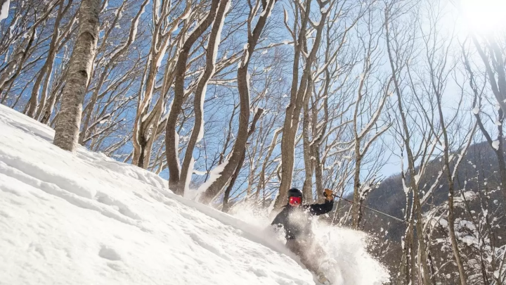 [Nagano, Hakuba] Welcome to Hakuba Village in winter! An international paradise where skiers from all over the world gather