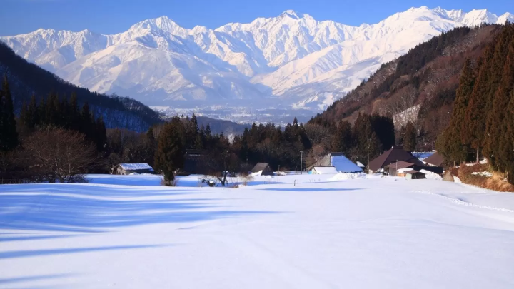 [Nagano, Hakuba] Welcome to Hakuba Village in winter! An international paradise where skiers from all over the world gather