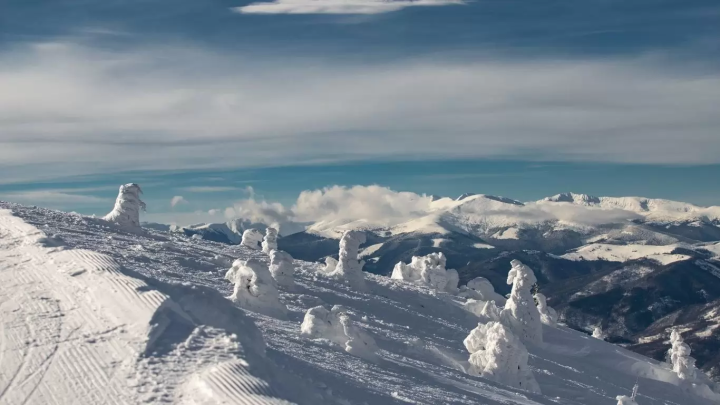 [Nagano/Hakuba] Compare it to Hokkaido! Ski resorts with great access and great value for money