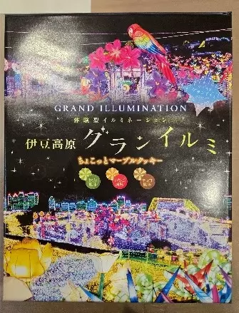 【2025最新】東京近郊！伊豆ぐらんぱる公園のイルミネーションを徹底解説