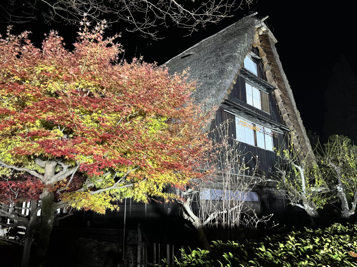 Direct access from Nagoya | Gero Onsen Gassho Village History Experience