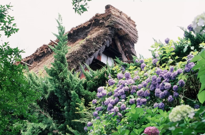 从名古屋直达仅需1小时40分钟！在岐阜下吕温泉合掌村体验日本历史