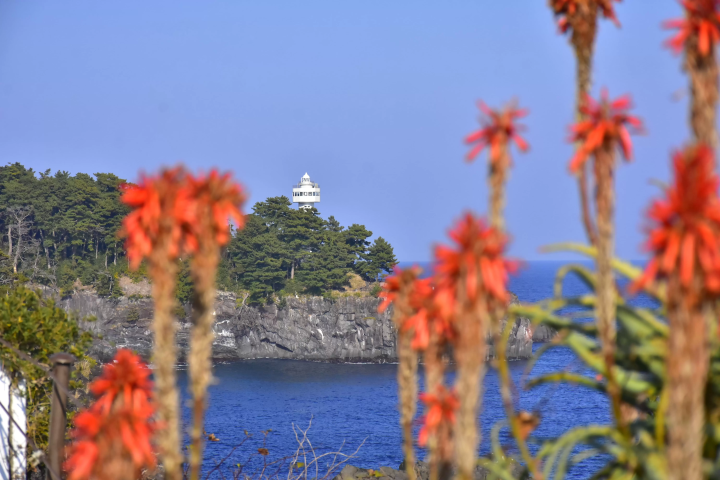 คู่มือครบวงจรสำหรับพิพิธภัณฑ์โคมไฟและสวนดอกไม้นิวยอร์ก ซึ่งตั้งอยู่ใกล้กับชายฝั่งโจงาซากิ และมีทิวทัศน์อันน่าทึ่ง!