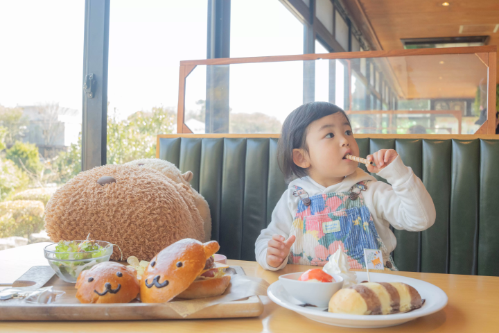 东京站下车！饱览伊豆高原被大海和群山环绕的壮丽景色！一日游