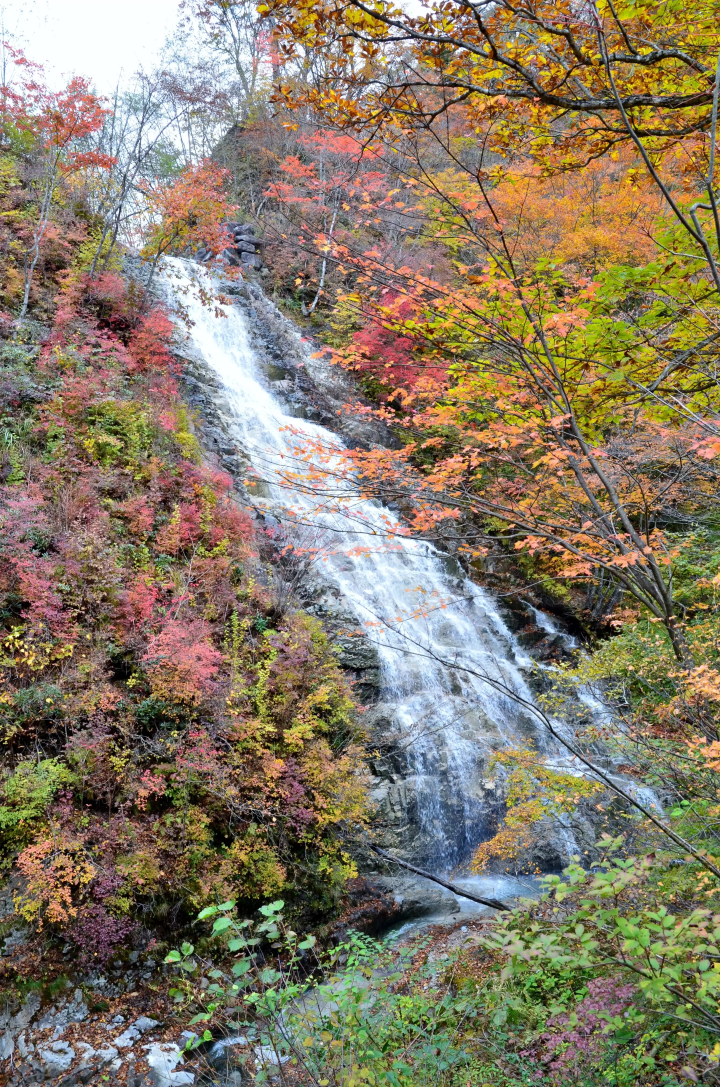 【群馬縣中之條町】草津、伊香保、四萬溫泉：享受群馬名湯與紅葉