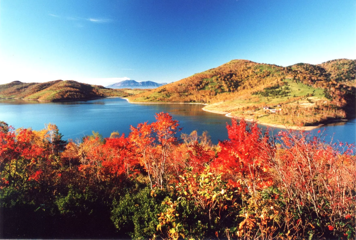 【群馬縣中之條町】草津、伊香保、四萬溫泉：享受群馬名湯與紅葉