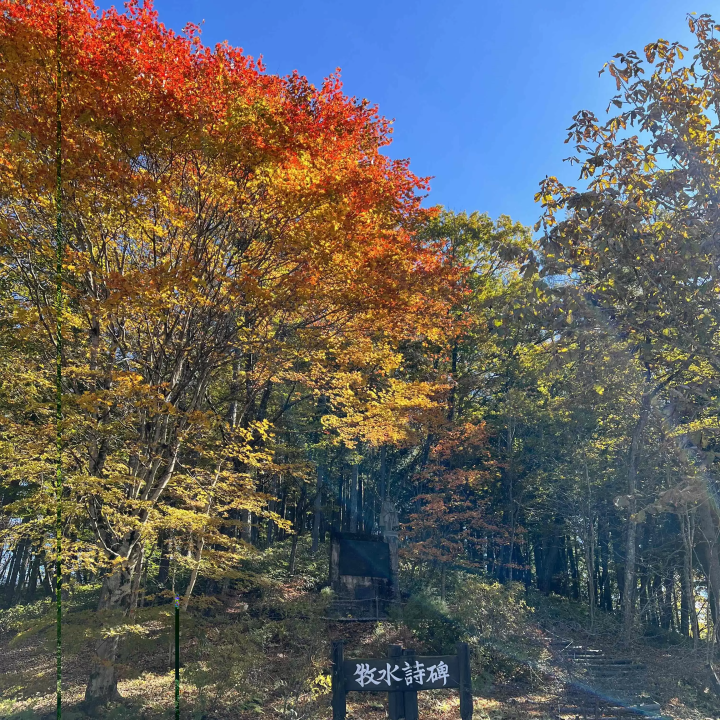 【群馬縣中之條町】草津、伊香保、四萬溫泉：享受群馬名湯與紅葉