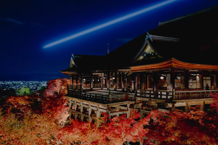 【2025年秋】世界遺産清水寺のライトアップを貸切で楽しめるツアーを教えます