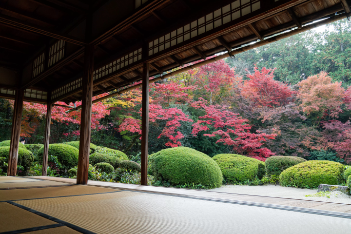 有一个可以私人欣赏京都红叶的特别旅行！