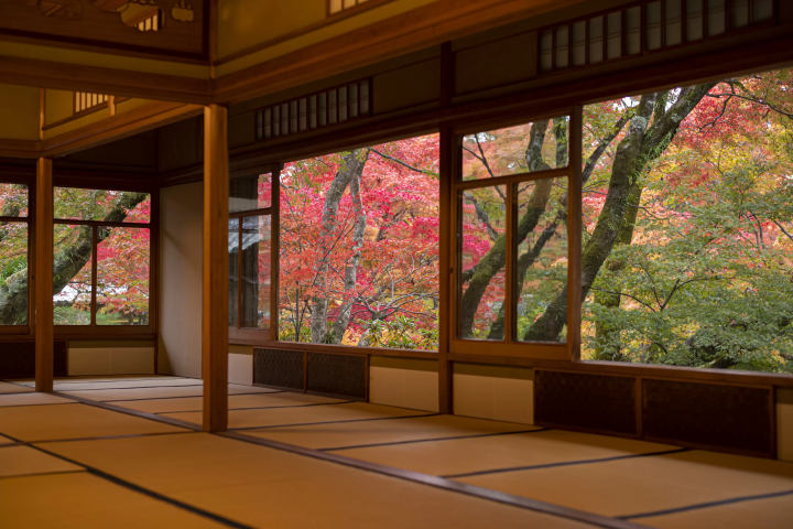 有一个可以私人欣赏京都红叶的特别旅行！