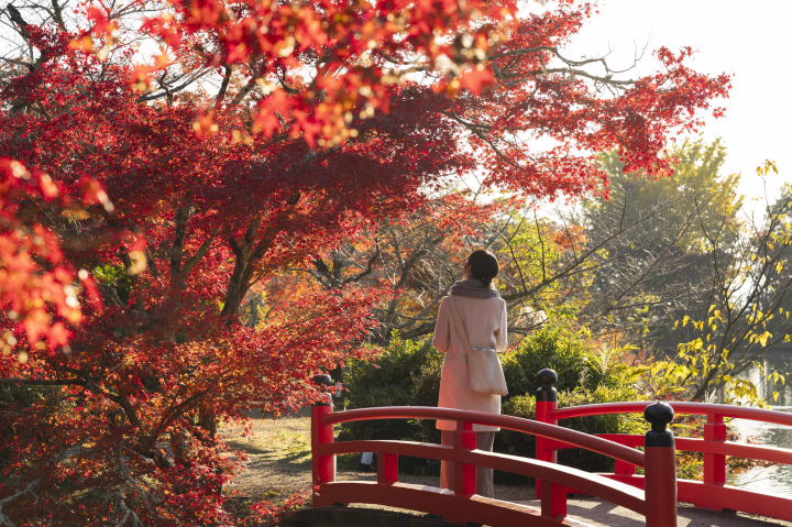 有一个可以私人欣赏京都红叶的特别旅行！