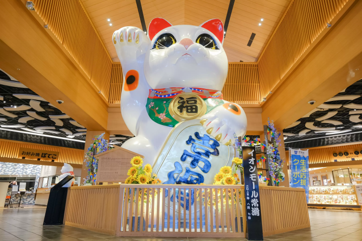 Tokoname｜10 Best photo spots near Centrair (Nagoya Airport)