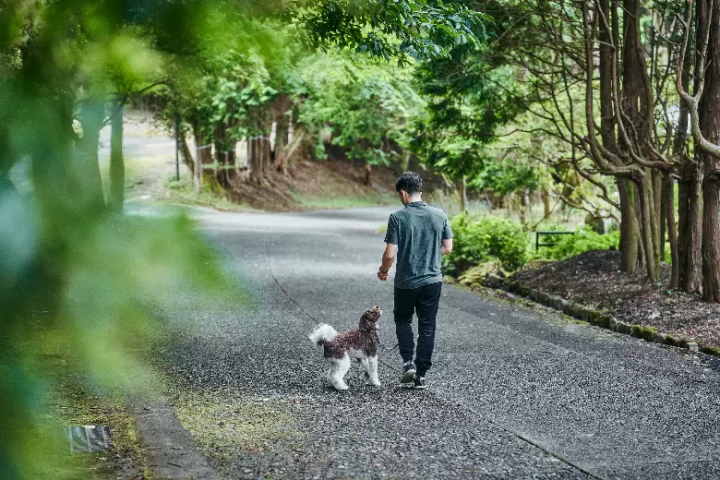 箱根石原開設了可以和狗狗一起入住的狗狗友善別墅