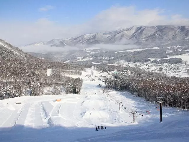 【長野】北志賀三大スキー場ガイド：ここで決まり！スキー・温泉・雪猿観察まで楽しむ
