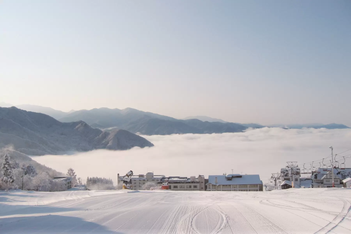 【長野】北志賀三大スキー場ガイド：ここで決まり！スキー・温泉・雪猿観察まで楽しむ