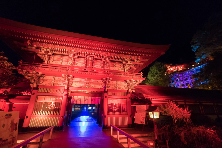 ทริปวันเดียวจากฟุกุโอกะ | สัมผัสประสบการณ์ขบวนแห่แต่งงานจิ้งจอกและชมไฟประดับที่ศาลเจ้ายูโทกุอินาริในเมืองซากะ