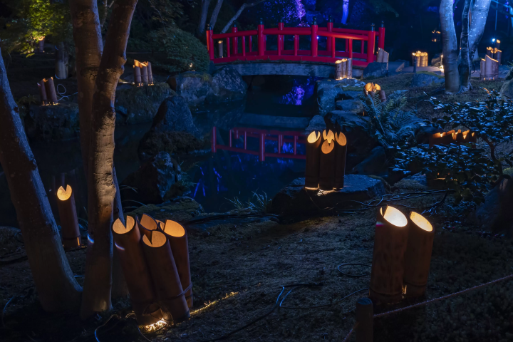 ทริปวันเดียวจากฟุกุโอกะ | สัมผัสประสบการณ์ขบวนแห่แต่งงานจิ้งจอกและชมไฟประดับที่ศาลเจ้ายูโทกุอินาริในเมืองซากะ