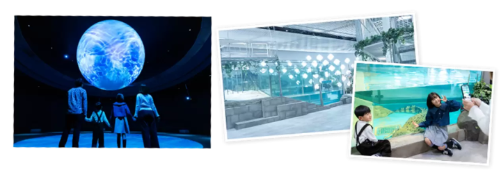 [2025 Latest] NIFREL, the new standard museum for tourism in Osaka and Kansai