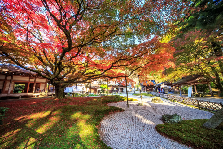 Raizan Sennyoji Daihioin Temple