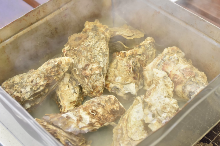 A comprehensive guide to Izukogen Travel Station Granpal Port, offering a wide selection of Izu cuisine and souvenirs!