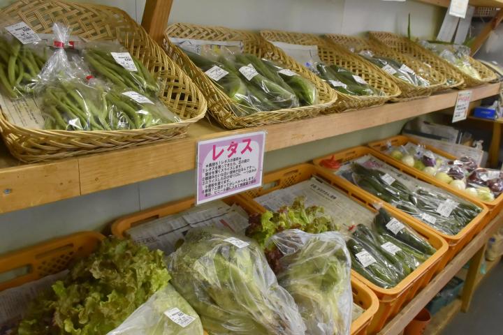 A comprehensive guide to Izukogen Travel Station Granpal Port, offering a wide selection of Izu cuisine and souvenirs!