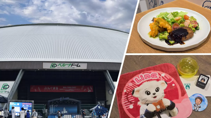 How to Enjoy the Belluna Dome , Home of the Saitama SEIBU Lions