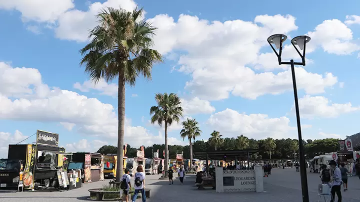 在千叶ロッテマリーンズ的主场 ZOZO 海洋球场感受同步欢呼