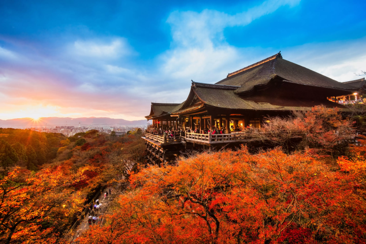 Experience Japanese Culture! Tea Ceremony, Ikebana, and World Heritage Tours from Tokyo & Kyoto