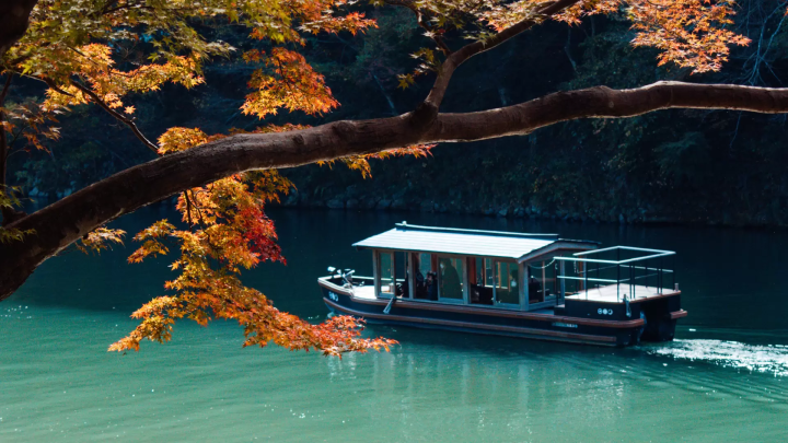 [Held until September 23rd] Experience the traditional cormorant fishing that will brighten up the night in Ranzan , Kyoto