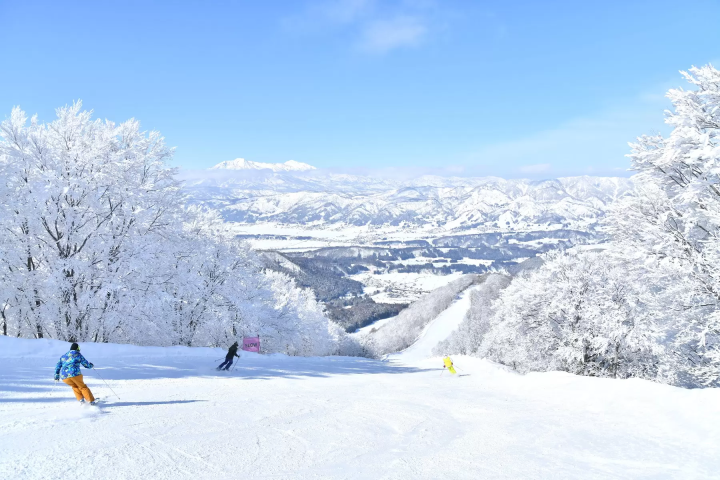 【長野】長野の隠れスキー天国：戸狩・斑尾・野沢で雪と温泉を楽しもう！