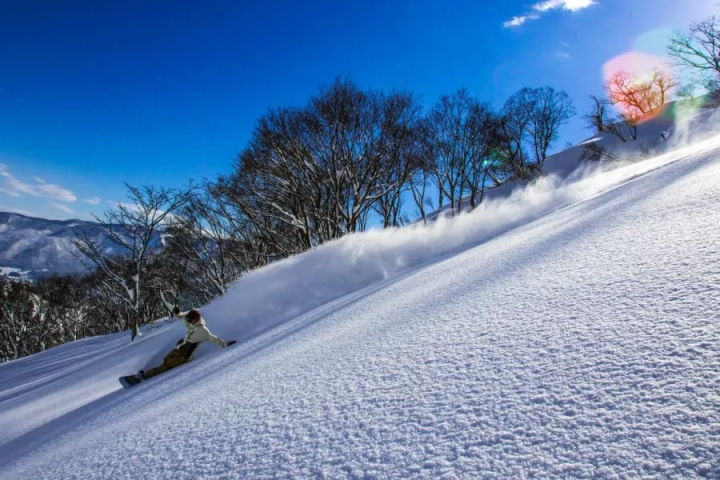 [Nagano] Nagano's hidden ski paradise: Enjoy the snow and hot springs in Togari, Madarao, and Nozawa!