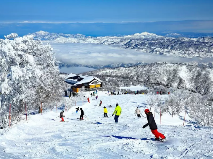 [Nagano] Nagano's hidden ski paradise: Enjoy the snow and hot springs in Togari, Madarao, and Nozawa!