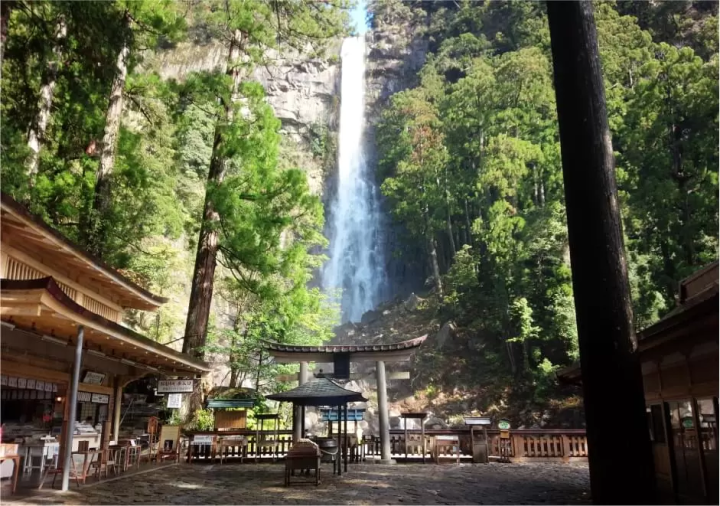 Hiro Shrine, a branch shrine, enshrines Nachi Falls as its sacred object, and is a symbol of nature worship, worshiping the waterfall itself without a shrine building. Nachi Falls is known as one of Japan's three most famous waterfalls and has been designated a national scenic spot. © Wakayama Prefecture Tourism Federation<br>