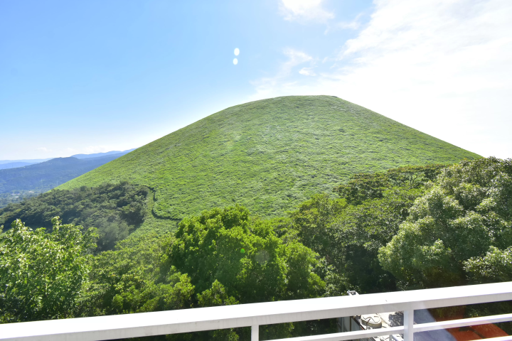 도쿄역에서 단 2시간! 인기 있는 이즈 고원 지역의 자연을 만끽하세요! 1박 2일 일정