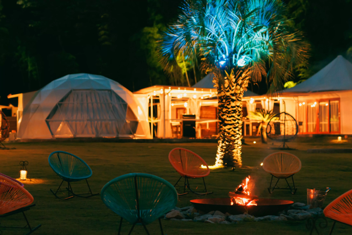 도쿄역에서 단 2시간! 인기 있는 이즈 고원 지역의 자연을 만끽하세요! 1박 2일 일정