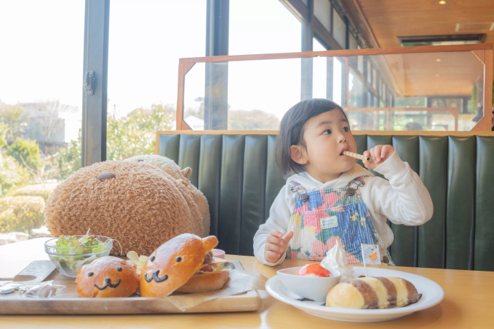도쿄역에서 단 2시간! 인기 있는 이즈 고원 지역의 자연을 만끽하세요! 1박 2일 일정