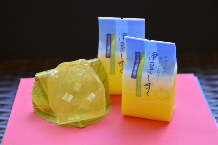 도쿄역에서 단 2시간! 인기 있는 이즈 고원 지역의 자연을 만끽하세요! 1박 2일 일정