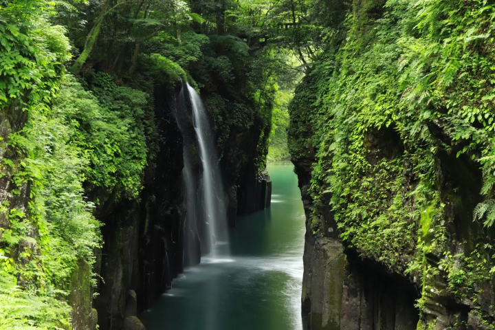 Where to Visit in Japan Next: Discover Miyazaki’s Natural & Culinary Treasures