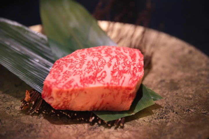 Where to Visit in Japan Next: Discover Miyazaki’s Natural & Culinary Treasures