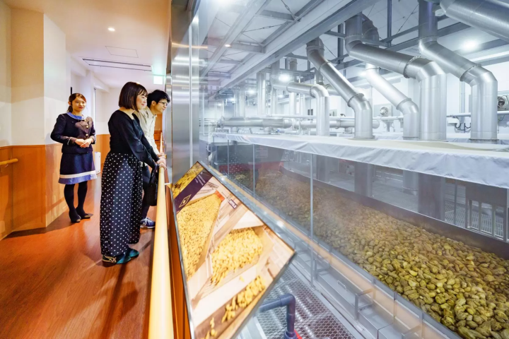 Where to Visit in Japan Next: Discover Miyazaki’s Natural & Culinary Treasures